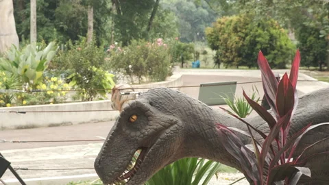 Moving Dinosaur Head Stock Footage 249465892