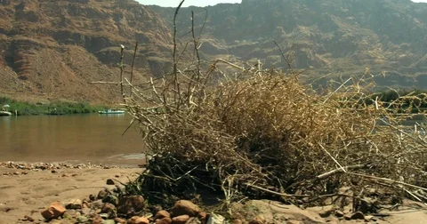 Moving dolly slider rafters Lee's Ferry Colorado River Grand Canyon Arizona 4K Stock Footage 77614545