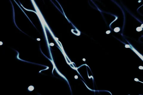 Moving dots leaving trails Stock Footage 24805142