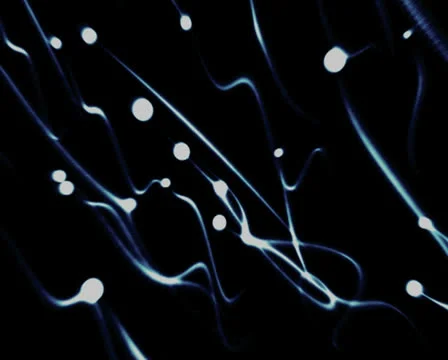 Moving dots leaving trails Stock Footage 24805154