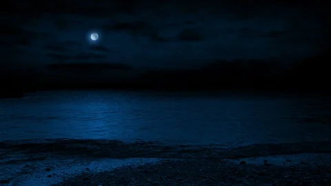 Moving Down To Beach On Moonlit Night Stock Footage 86522359