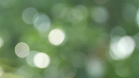 Moving down bokeh background on green Stock Footage 90351527