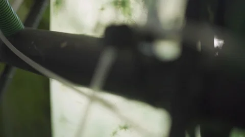 Moving down a plastic tube with special algae for scientific use Stock Footage 112507637