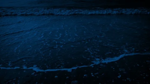 Moving Down To Sea As Waves Come In At Night Stock Footage 88107592