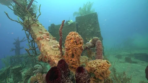 Moving Down the wreck of the Prince Albert Stock-Footage 83959849