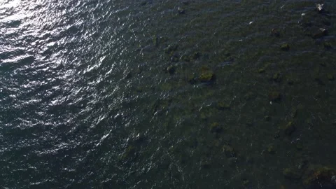 Up moving Drone Footage Of Flying Close Above The Lake Water Stock Footage 166802785