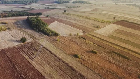 Moving drone shot of agricultural fields Stock Footage 170447887