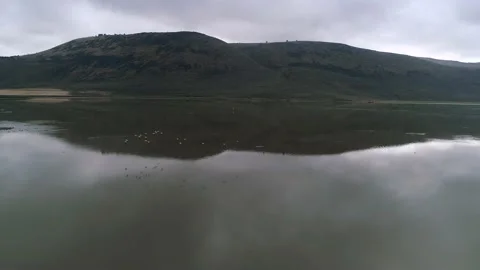 Moving drone shot of a small lake on a cloudy day. Stock Footage 215138187