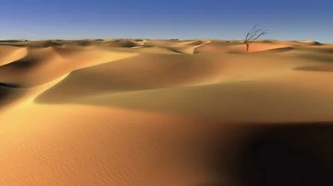 Moving dunes Video stock 11208874