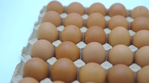 Moving Egg tray on white background. Stockbeeldmateriaal 169326684