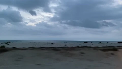 Moving at evening on deserts Video stock 164876981