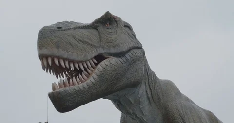 Moving figure of a dinosaur. Amusement park. Stock Footage 100646417