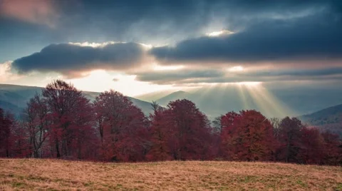 Moving first sunlight between fluffy clouds Stock Footage 58587286