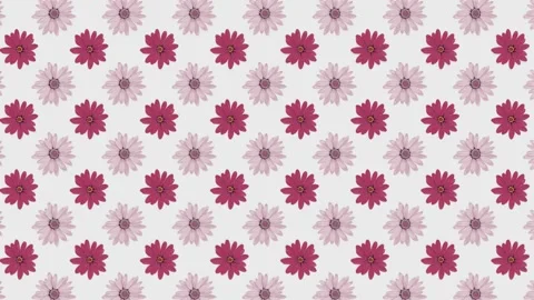 Moving flowers on a white background Stock Footage 150777606