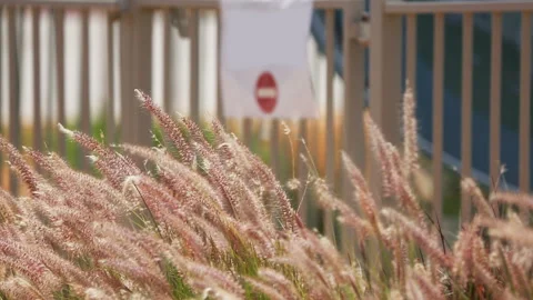 Moving the focus from the grass to No Entry sign Vídeos de archivo 96835205