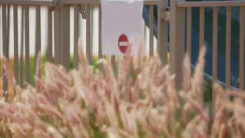 Moving the focus from No Entry sign on the grass 動画素材 97498784