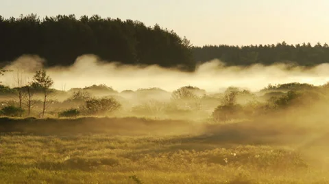 Moving fog at dawn 스톡 동영상 39660782