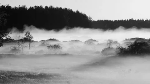 Moving fog at dawn 스톡 동영상 39660787