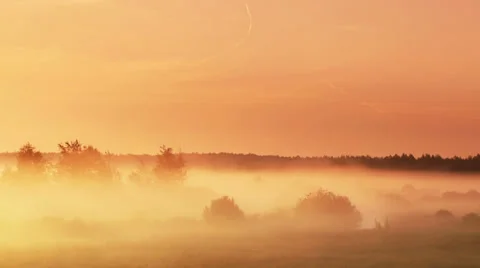 Moving fog at dawn 스톡 동영상 39735127