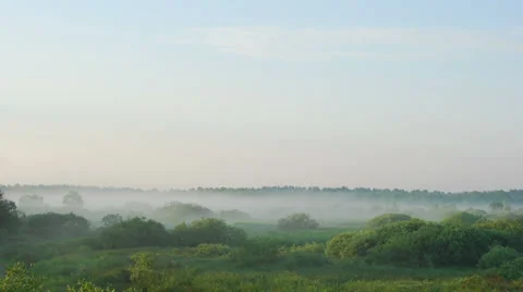 Moving fog at dawn 스톡 동영상 39778273