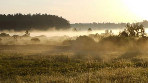 Moving fog at dawn 스톡 동영상 39778279