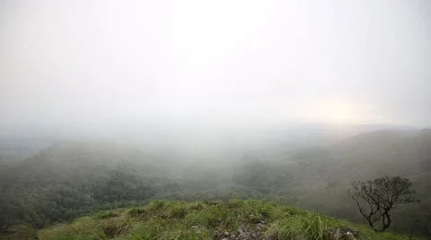 Moving fog mist cloud over the mountain in the forest with sunset in background Stock Footage 68312884