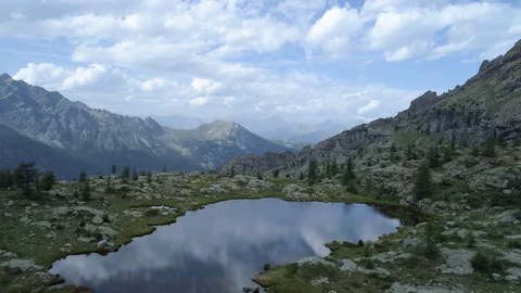 Moving forward above clear blue lake and pine woods in evening summer day.Europe Stock Footage 93179965