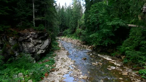 Moving forward above mountain river Stock Footage 159761471