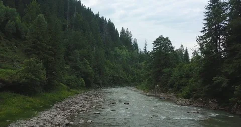 Moving forward above a river in a forest mountain valley. Low flight aerial shot Video stock 127047951