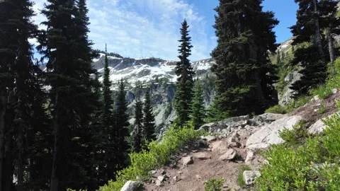 Moving forward along a dirt hiking trail surrounded by trees and mountains Stock Footage 342076342