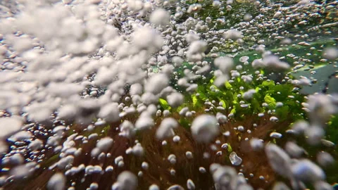 Moving forward along flow of mountain stream with many air bubbles over bottom Stock Footage 316538089