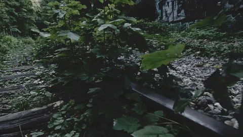 Moving forward along overgrown train tracks in a abandonded Paris subway Stock Footage 101303128