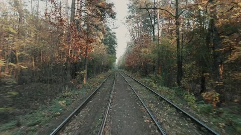 Moving Forward Along Railway Tracks Through Autumn Forest Stock Footage 319801528