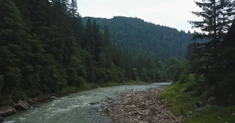 Moving forward and getting higher above a river in the forest mountain valley. Video stock 127050011