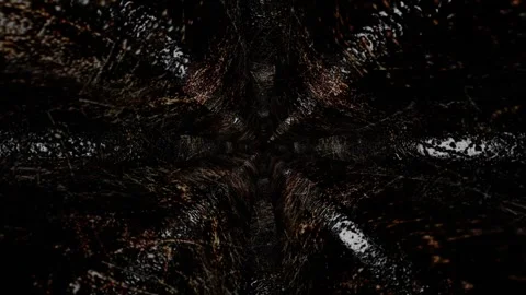 Moving forward inside dark abstract corridor of strange shape with old texture.  Stock Footage 301858812