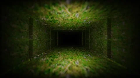 Moving forward inside a rectangular dark tunnel with grass texture. 3d render lo Stock-Footage 305157568