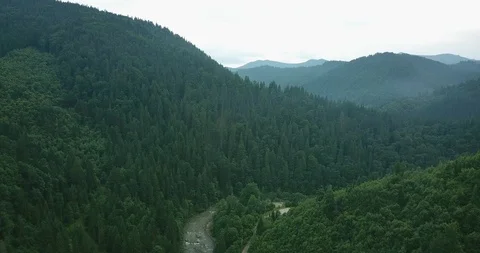 Moving forward to the mountain with forest above a river. High aerial shot 4k Video stock 127049516