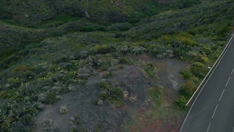 Moving forward to the mountains, video from the drone Stock Footage 108564135