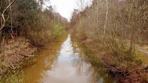 Moving forward over a canal or creed running through a forest Stock Footage 127408985
