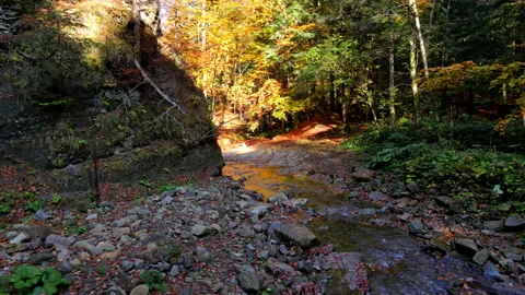 Moving forward overhead of river creak in mountains Stock Footage 223924142