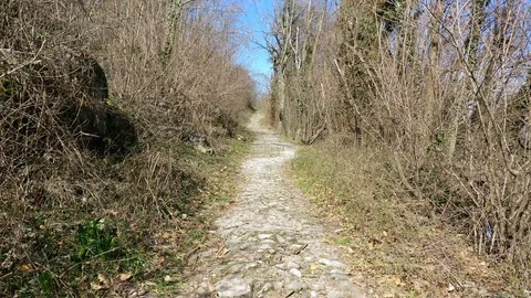 Moving forward on a path in the mountains Stock Footage 91027416