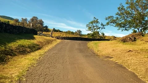 Moving Forward on a Paved Road with  Jacaranda Trees and a Stone Wall 動画素材 157076544