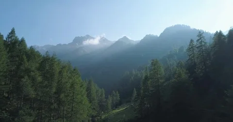 Moving forward to  pine woods forest and mountain valley with sun flare in summe Stock Footage