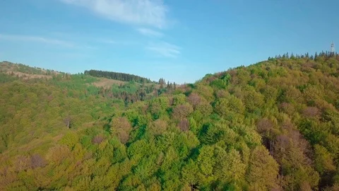 Moving forward to pine woods forest and mountain valley in summer day. Europe Video stock 92143732