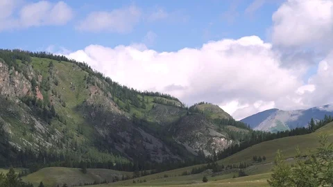 Moving forward to pine woods forest and mountain valley with sun flare in summer Stock Footage 93201148