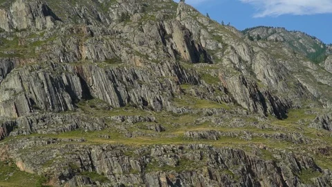 Moving forward to pine woods forest and mountain valley with sun flare in summer Video stock 93203780