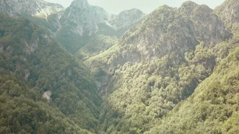 Moving forward to pine woods forest and mountain valley with sun flare in summer Stock Footage 140465539