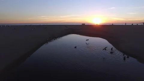 Moving forward from pond to sunset on pacific with birds Stock Footage 84697321