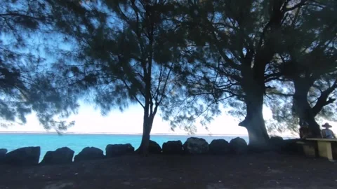 Moving forward ride in car view of the coastline beachside by the street with tr Video stock 250400509