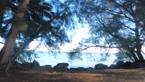 Moving forward ride in car view of the coastline beachside by the street with tr Stock-Footage 250400523